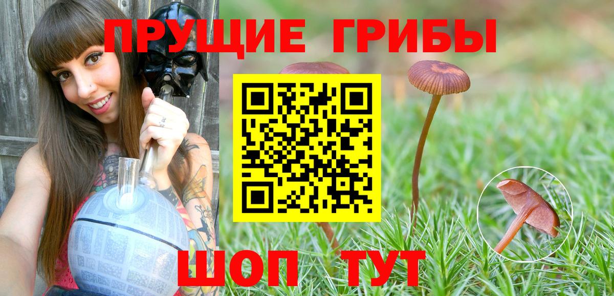 Псилоцибиновые грибы Magic Shrooms Гусев