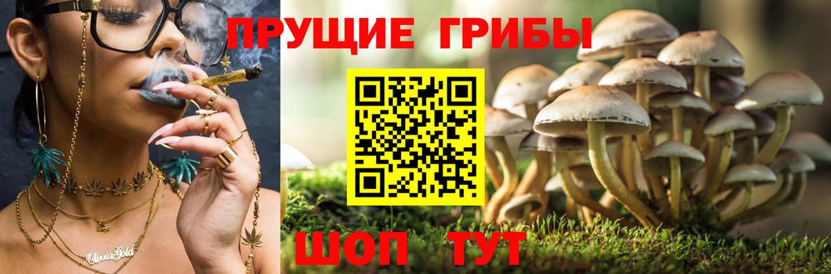 Гусев  Псилоцибиновые грибы ЛСД  Вход с VPN 